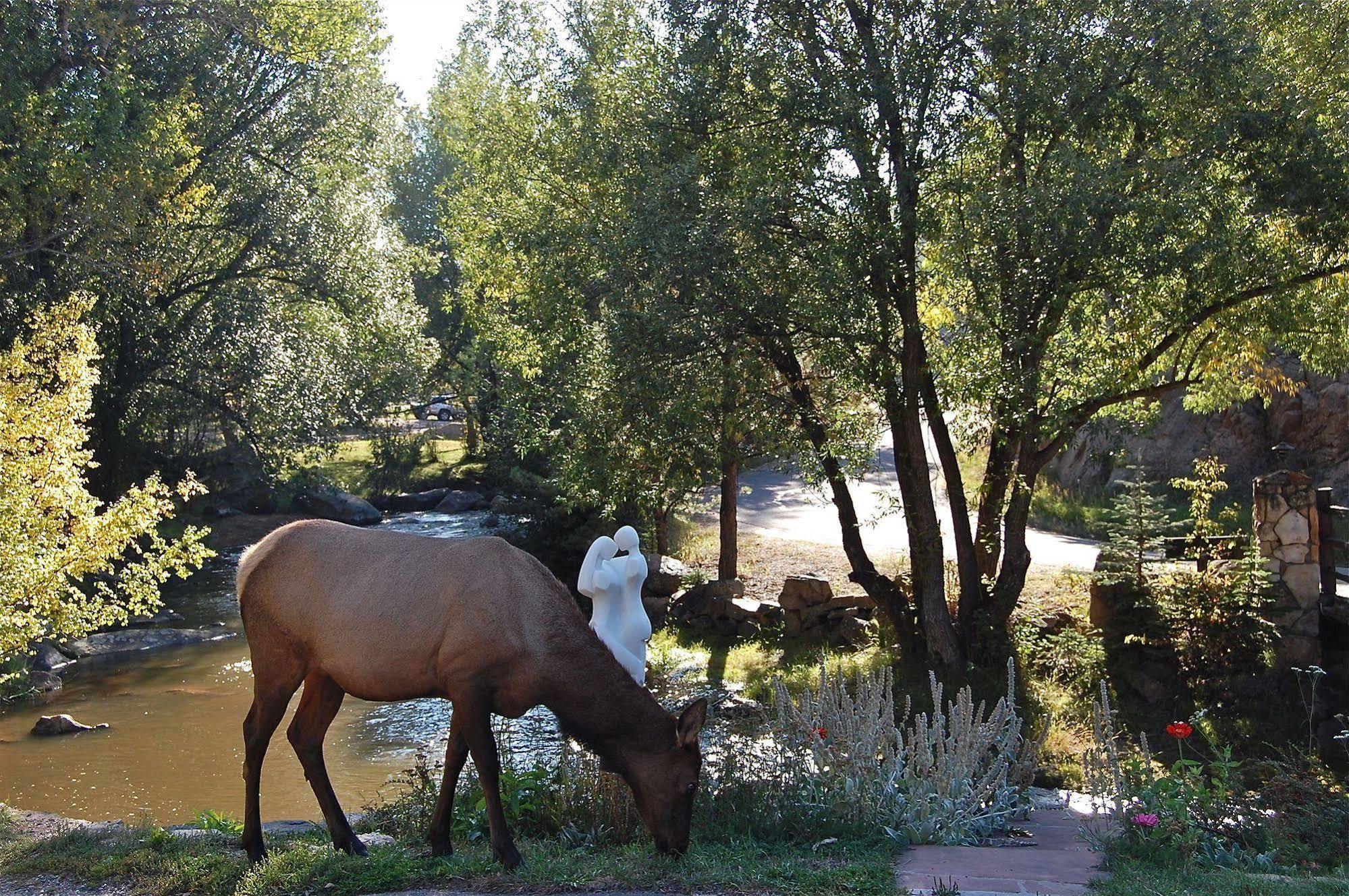 Highland Haven Creekside Inn Евъргрийн Екстериор снимка